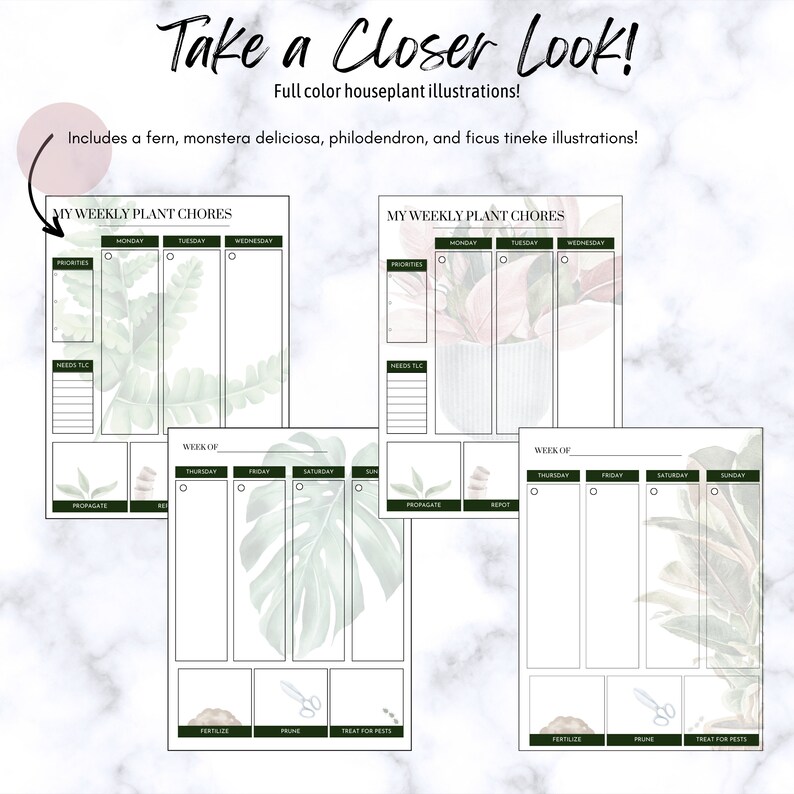 May include: Printable planner pages with watercolor illustrations of houseplants. The pages are designed for tracking weekly plant care chores. The illustrations include a fern, monstera deliciosa, philodendron, and ficus tineke.
