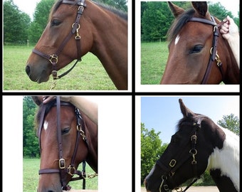 Ride N Tie Trail Bridle- Easy design halter bridle combo- Top seller!