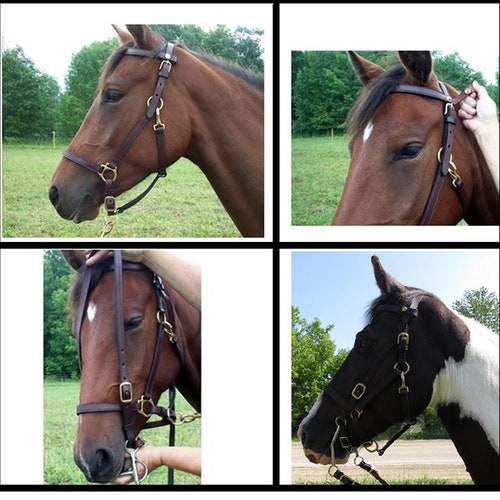 Ride N Tie Trail Bridle Easy Design Halter Bridle Combo Top Etsy