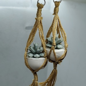 Macrame Earrings, Hanging Plant Earrings, Plant Earrings, Succulent Earrings, Gifts For Her, Macrame Plant Earrings, Clay Earrings