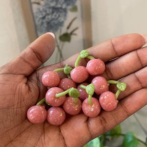 mini pink cherry magnets
