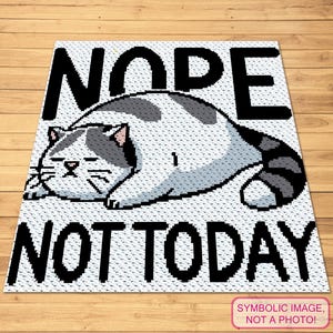 May include: A white, pixelated rug featuring a sleeping cat illustration with grey and black markings. The words "NOPE" and "NOT TODAY" are in large black letters above and below the cat. The rug is placed on a wooden floor.
