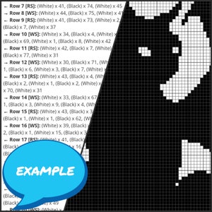 May include: A black and white pixel art image of a map of Ireland. The image is divided into rows and columns, with each square representing a pixel. The image is labeled with the text "EXAMPLE".