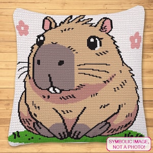Patrón de capibara a crochet, manta para sofá, bonito patrón de almohada a crochet, Graphgan de crochet simple, patrón de manta a crochet, funda de cojín a crochet