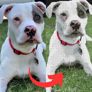 May include: A white dog with a black and grey patch above one eye and a pink nose. The dog wears a red collar with a silver tag and is lying on green grass. A pixelated version of the dog is shown next to the original image.