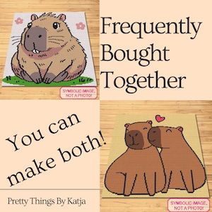 Puede incluir: Dos patrones de crochet para un capibara, uno de un solo capibara y el otro de dos capibaras abraz&aacute;ndose. El texto "You can make both!" est&aacute; escrito en la imagen. El texto "Frequently Bought Together" tambi&eacute;n est&aacute; escrito en la imagen.