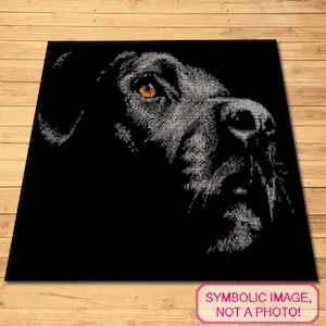 Modello per cane all'uncinetto, coperta per cane all'uncinetto, modello per arazzo all'uncinetto, modello grafico all'uncinetto, modello per coperta animale all'uncinetto