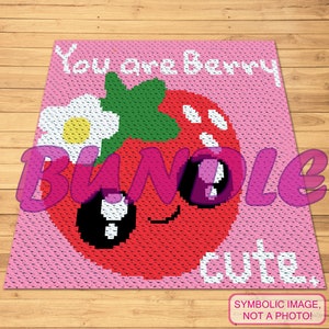Cute Crochet Blanket, C2C Crochet Blanket Pattern, Crochet Pillow Pattern, Crochet Berry, Crochet Fruit Pattern, Valentines Day Crochet