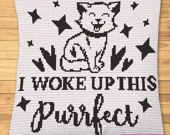 Crochet Cat Pattern - Tapestry Crochet Pattern, Cat Crochet Pillow, Cat Crochet Blanket Pattern, Crochet Graphgan Pattern