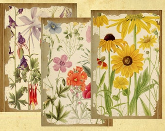 Flower Power - mini digital bundle - collage sheet and 2 pages of 5 x 7 cards