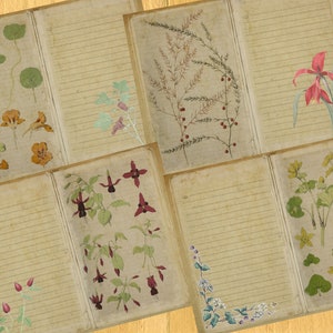 Digital junk journal pages - Lined floral pages - botanical journal - Junk journal supplies