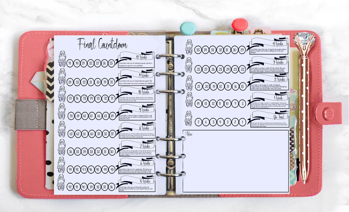 Baby Bullet Journal Digital Download Baby Bujo Planner Etsy