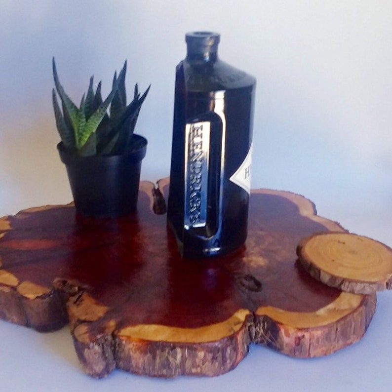 Hendrix London Gin Liquor Bottle cut lengthwise crafts serving dish Planter Indoor Plants Succulent Glass Terrarium