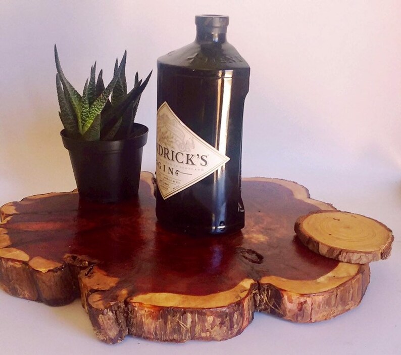Hendrix London Gin Liquor Bottle cut lengthwise crafts serving dish Planter Indoor Plants Succulent Glass Terrarium