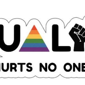 May include: A white sticker with the word "EQUALITY" in black, rainbow, and blue letters. The letter "E" features an equal sign and a wheelchair symbol. The letter "A" is a rainbow triangle. The text "HURTS NO ONE" is below the word "EQUALITY".