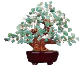 Money tree feng shui tree lucky tree fortune tree etsy