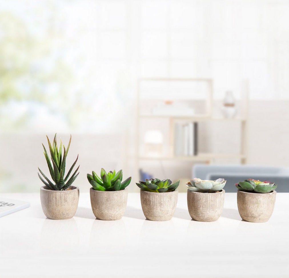 Set of 5, Mini Succulents, Fake Succulents, Mini Potted Succulents, Fake  Plants, Artificial Wedding Flowers, Fake Flowers for Wedding - Etsy