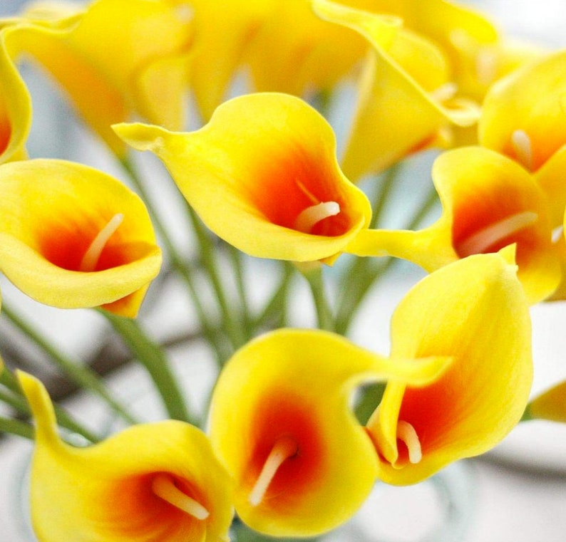 Artificial Flowers Wedding Flowers Yellow and Orange Calla Lily Stems Set of 12 Real Touch Artificial Calla Lily Fake Calla Lily