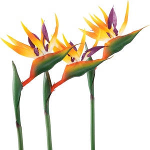 Set of 3 Stems, Artificial Orange Bird of Paradise Stems, Fake Bird of Paradise Stems, Latex Flowers, Faux Flowers, Fake Tropical Flower