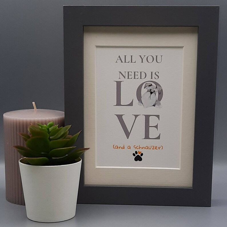 Schnauzer gifts and a Schnauzer - salt and pepper Schnauzer All you need is love