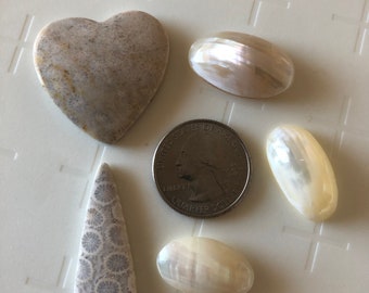 Mother of Pearl Fossil Coral Heart Cabochons Stones Lot DESTASH