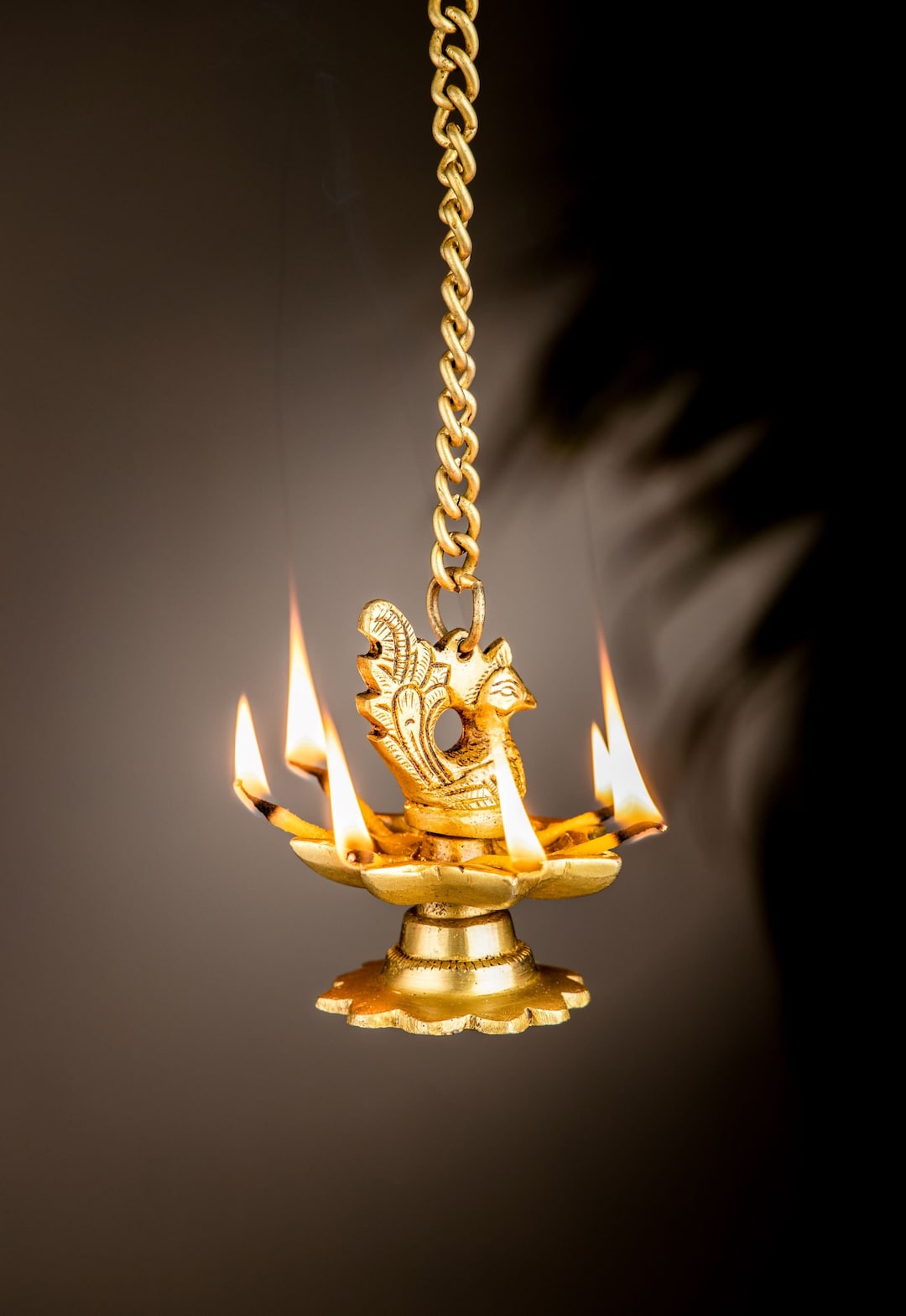 Brass Peacock Wall Hanging Diya Handmade Indian Lamp Etsy