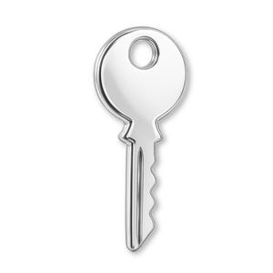 May include: A shiny, silver key with a classic design. The key has a circular head with a hole and a ridged blade. The key is set against a white background, creating a clean and simple aesthetic.