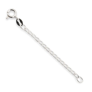 May include: Silver chain extender with a lobster clasp on one end and a jump ring on the other.