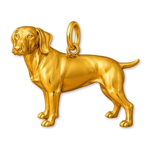 Op de afbeelding: Een goudkleurige hanger in de vorm van een hond, waarschijnlijk een Vizsla, die op alle vier de poten staat. De hanger heeft een lus aan de bovenkant voor een ketting. De kenmerken van de hond zijn gedetailleerd, inclusief oren, staart en poten.