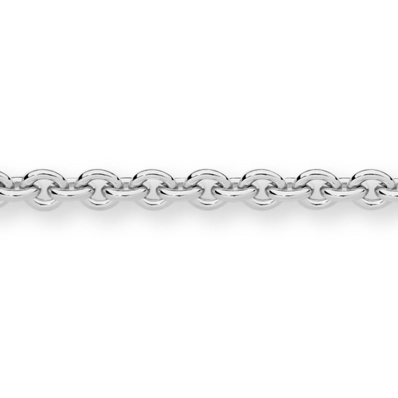 May include: A silver chain necklace with a classic cable link design.