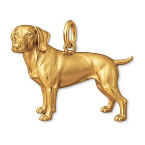 Op de afbeelding: Een goudkleurige hanger in de vorm van een hond, waarschijnlijk een Vizsla, staand met zijn staart omhoog. De hanger heeft een lus aan de bovenkant voor een ketting. De hond is gedetailleerd met realistische kenmerken.