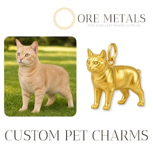 May include: A gold cat pendant with a loop for a chain, next to a photo of a ginger cat on grass. The text "ORE METALS FINE JEWELLERY MAKING SUPPLIES" is at the top. The text "CUSTOM PET CHARMS" is at the bottom.