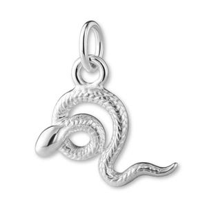 Puede incluir: Un charm de serpiente plateada con un cuerpo texturizado y una cabeza lisa y redondeada. La serpiente está enrollada en forma curva, con un lazo en la parte superior para sujetar a un collar o pulsera. El charm está sobre un fondo blanco.