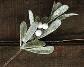 Christmas Floral Picks (Set of 2), Frosted Mistletoe 10 inch Picks, Primitive Country Holiday Decor