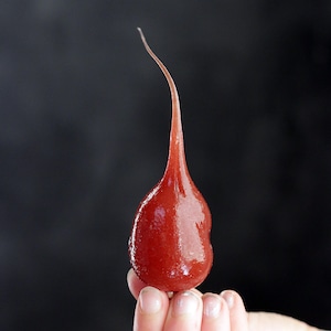 Silicone Dipped Light Bulb, Applesauce Scented Bulb, 4 Watt Candle Lite Bulb, Primitive Red Light