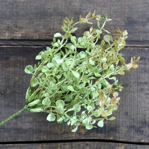 Baby&#39;s Grass 9 inch Pick, Artificial Greenery Bush, Floral Supply, Wreath Making