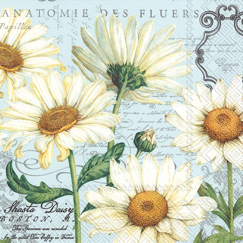 Pack of 20 Shasta Daisy Paper Napkins Paper Luncheon Napkins Summer Party Decor
