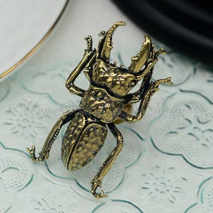 May include: A gold-toned metal stag beetle drawer pull with a textured finish. The beetle is in a standing position with its legs outstretched.