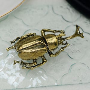 Op de afbeelding: Een gedetailleerd, antiek ogend messing keverbeeldje. De kever heeft ingewikkelde details op zijn schild, poten en antennes. Het beeldje is geplaatst op een getextureerd, helder oppervlak. Het woord "Ryan" is zichtbaar.