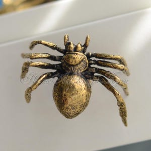 Może przedstawiać: Złoty metalowy uchwyt do szuflady w kształcie pająka. Pająk ma szczegółowe, fakturowane ciało i osiem nóg.