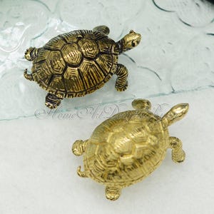 Op de afbeelding: Twee kleine gouden schildpadbeeldjes. De schildpadden zijn gedetailleerd met een getextureerde schild en kijken in verschillende richtingen.