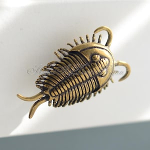 May include: A gold-toned metal drawer pull shaped like a trilobite, an extinct marine arthropod. The pull has a detailed, textured surface.