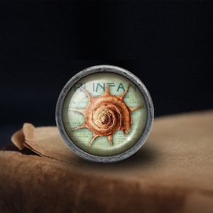 Peut inclure: Un bouton argent&eacute; avec un insert en verre repr&eacute;sentant une illustration vintage d'une coquille sur fond vert. Le texte "INFAN" est visible sur l'insert en verre.