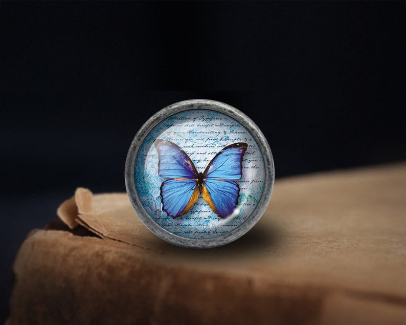 May include: A circular button with a blue butterfly design. The butterfly has blue wings with orange detailing. The background features a vintage script design. The button is set against a dark background.