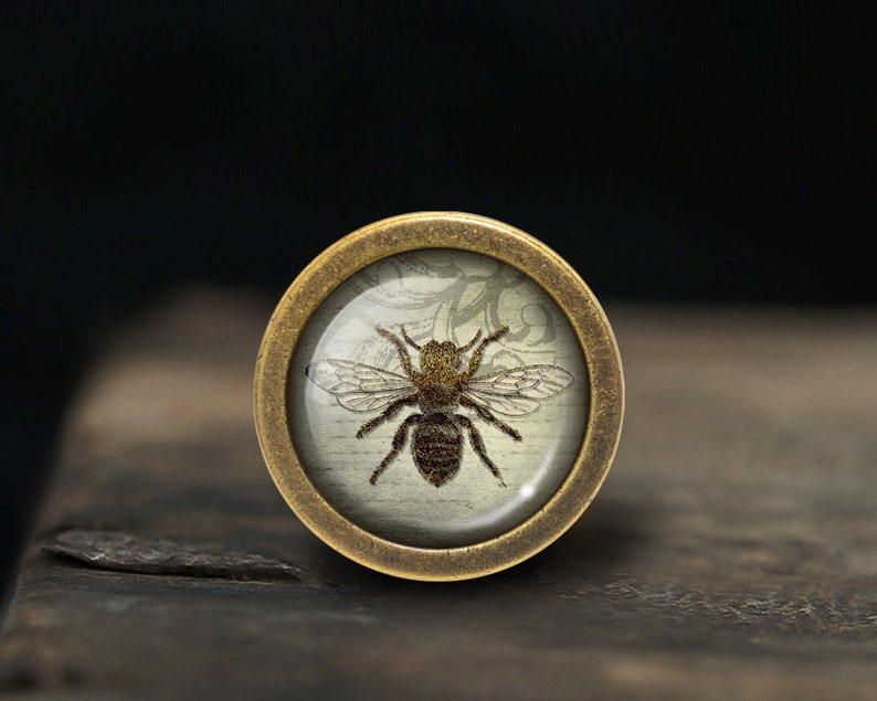 May include: A brass knob with a glass insert featuring a vintage illustration of a bee on a white background.
