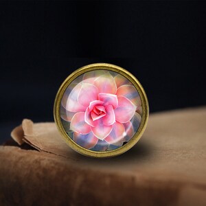 May include: A close-up of a pink and white succulent flower in a gold-toned frame.
