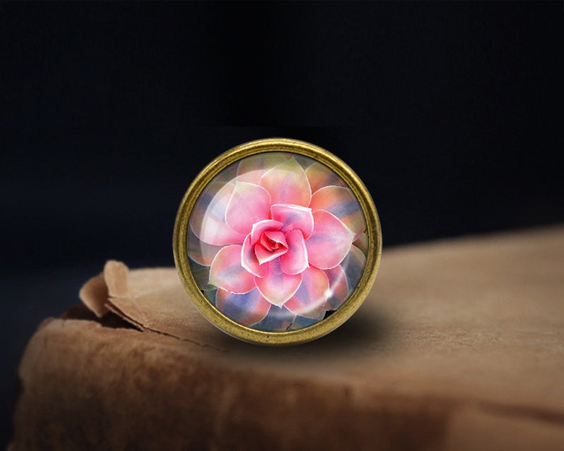 May include: A close-up of a pink and white succulent flower in a gold-toned frame.