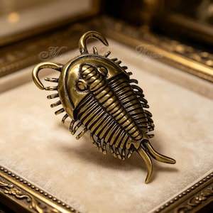 Antique Brass Trilobite Drawer Knob,Fossil Trilobite Cabinet Pull,Oddity Curiosity Knob, Dark Academia Furniture Handle, Unique Dresser Knob