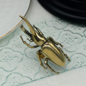 May include: A gold-toned beetle-shaped cabinet knob or drawer pull. The beetle has a long, pointed snout and detailed legs.