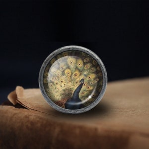 May include: A silver knob with a round glass insert featuring a peacock with its tail feathers spread out. The peacock is depicted in shades of blue, green, and yellow.